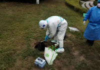 医疗水质检测使用芬克检测包